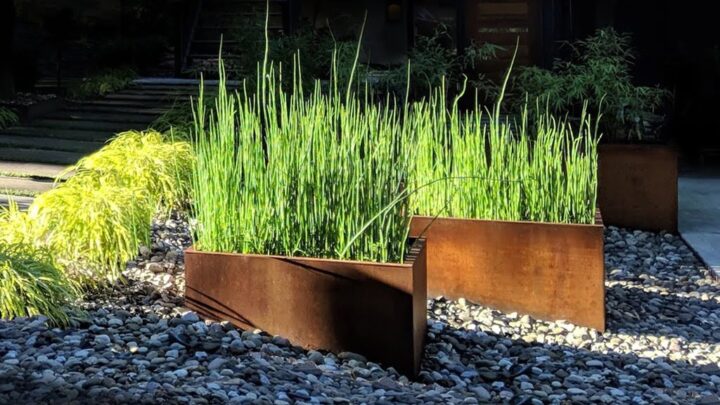 Projekt ogrodu – trawy ozdobne w donicach z cortenu